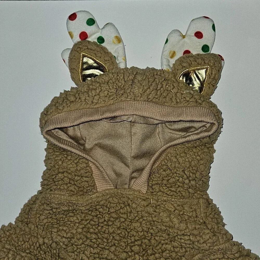 Holiday Tails reindeer dog